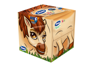 Zewa Kids Cube Horse