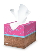 001_661_Tempo_Cube_Design_Edition_Q1_2019_Style_Tissue_A_HighRes.png